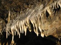 106_0683 Caves in Rochefort